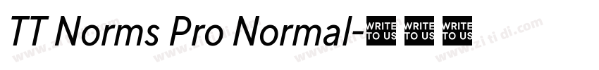 TT Norms Pro Normal字体转换